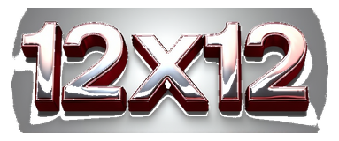 12x12 logo